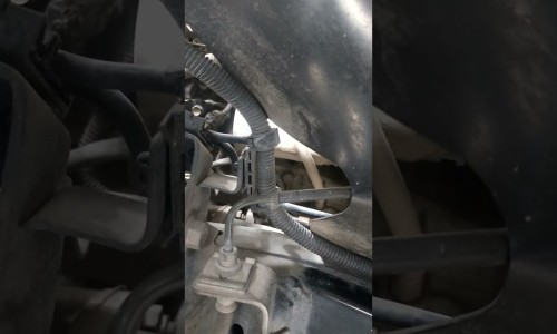 宝宝贴贴纸下载安装绿色资源网-宝宝贴功效网-分享宝宝贴贴纸下载安装乐游网，宝宝贴贴纸下载安装乐游网知识库