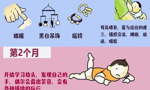 宝宝贴功效网-分享宝宝贴贴纸下载安装乐游网，宝宝贴贴纸下载安装乐游网知识库